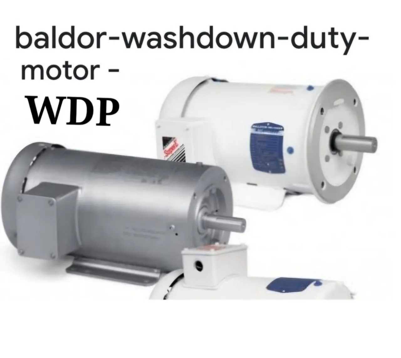 Baldor Washdown Duty Motor WDP
