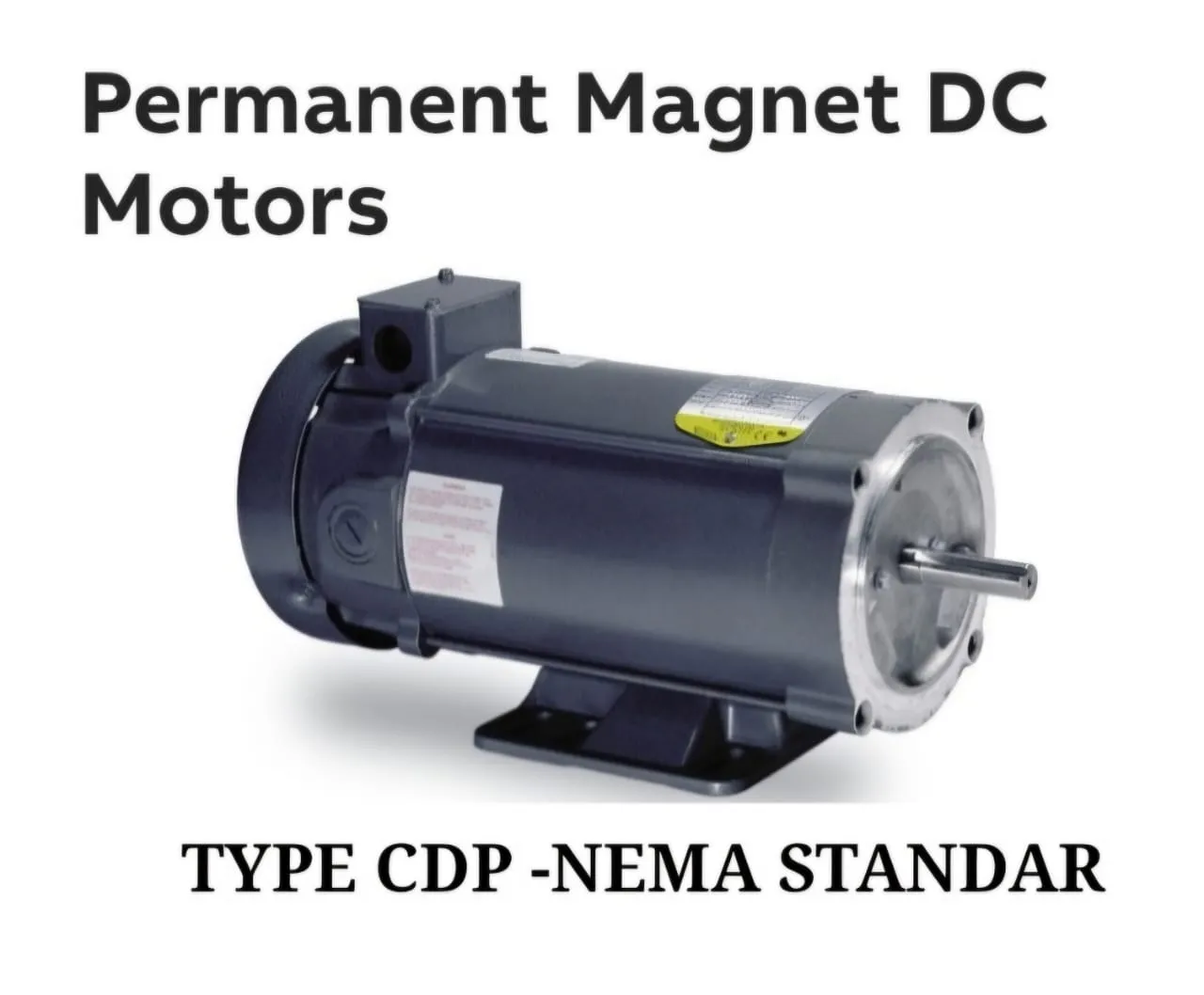 Permanent Magnet DC Motors Type CDPNEMA Standar