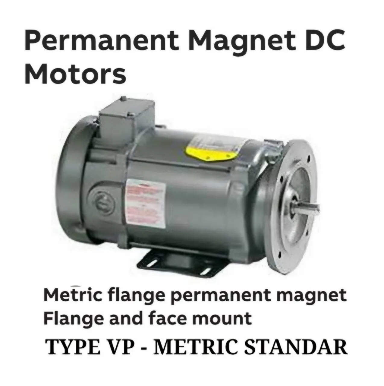 Permanent Magnet DC Motors Type VPMETRIC Standard