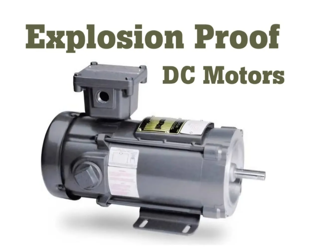 Explosion Proof DC Motors