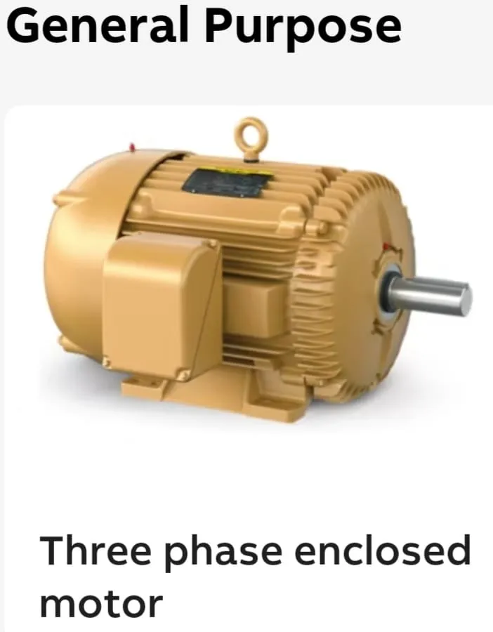 Three Phase Encloses Motor